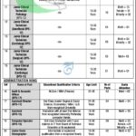 KPK Employees Social Security Institution Jobs