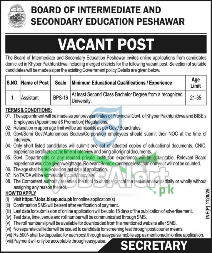 BISE Peshawar Jobs