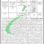 Forest Department Haripur Jobs