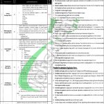  Primary & Secondary Healthcare Department Punjab Jobs
