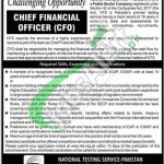 National Testing Service Jobs