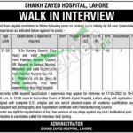 Shaikh Zayed Hospital Lahore Jobs