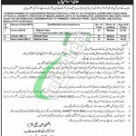 Agriculture Department Punjab Jobs