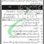 Public Sector Organization Bahawalpur Jobs