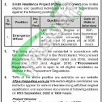 PDMA Sindh Jobs