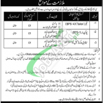 CMH Okara Jobs