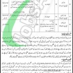 Session Court Vehari Jobs 