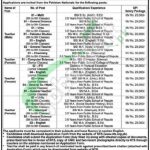 District Public School & College Kasur Jobs