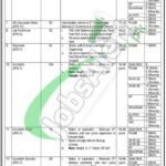 ANF Constable Jobs