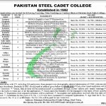 Pakistan Steel Cadet College Jobs