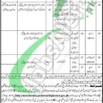 Session Court Nowshera Jobs