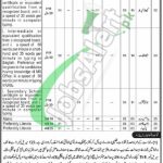 Session Court Shangla Jobs