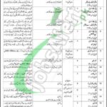 301 Spare Depot EME Rawalpindi Jobs