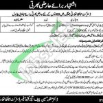 District Health Authority Jhang Jobs