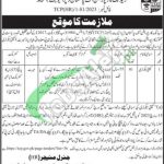 TCP Karachi Jobs
