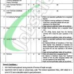 Services Hospital Lahore Jobs