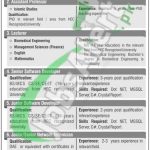 HITEC University Taxila Jobs