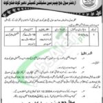 Civil Court Dhirkot Jobs