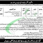 BISE Sahiwal Jobs