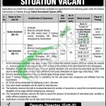 ECP Jobs