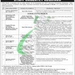 PPHI Jobs