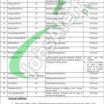 Civil Services Academy Walton Lahore Jobs