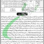 Forest Department KPK Jobs