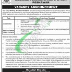 Lady Reading Hospital Peshawar Jobs