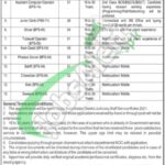 Session Court Quetta Jobs