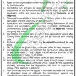 Punjab University Jobs