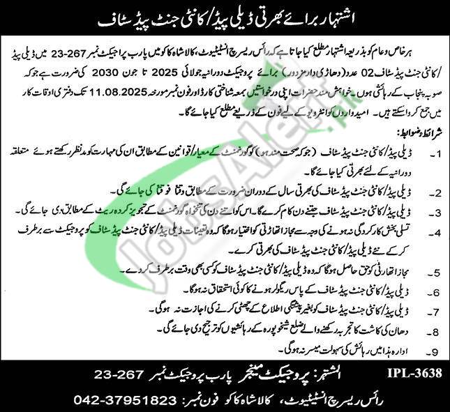 Rice Research Institute Kala Shah Kaku Jobs