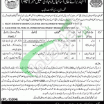 Fisheries Department Punjab Jobs