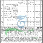 Session Court DI Khan Jobs