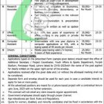 Sports and Youth Affairs Department Punjab Jobs