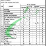 Karakoram International University Gilgit Jobs