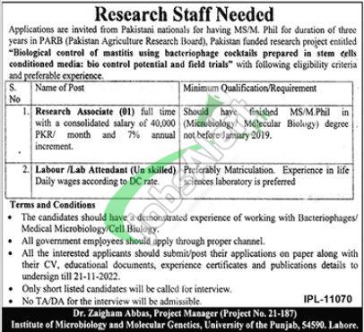 Punjab Agricultural Research Board Jobs