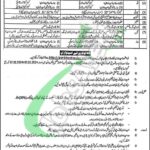 Punjab Police Driver Constable Jobs