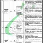 Punjab Mineral Company Lahore Jobs