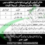 CMH Tarbela Jobs