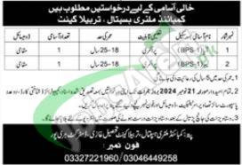 CMH Tarbela Jobs