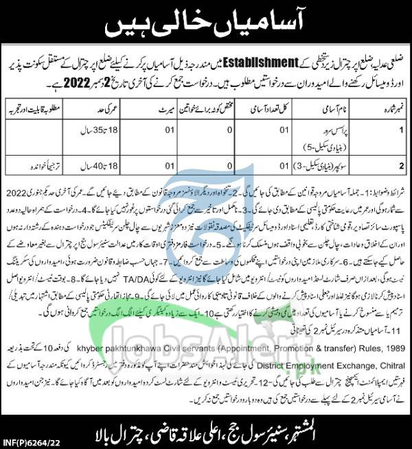 Civil Court Upper Chitral Jobs