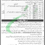 Deputy Commissioner South Karachi Jobs