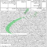 Forest Department Mansehra Jobs