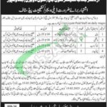 Civil Court Bahawalpur Jobs