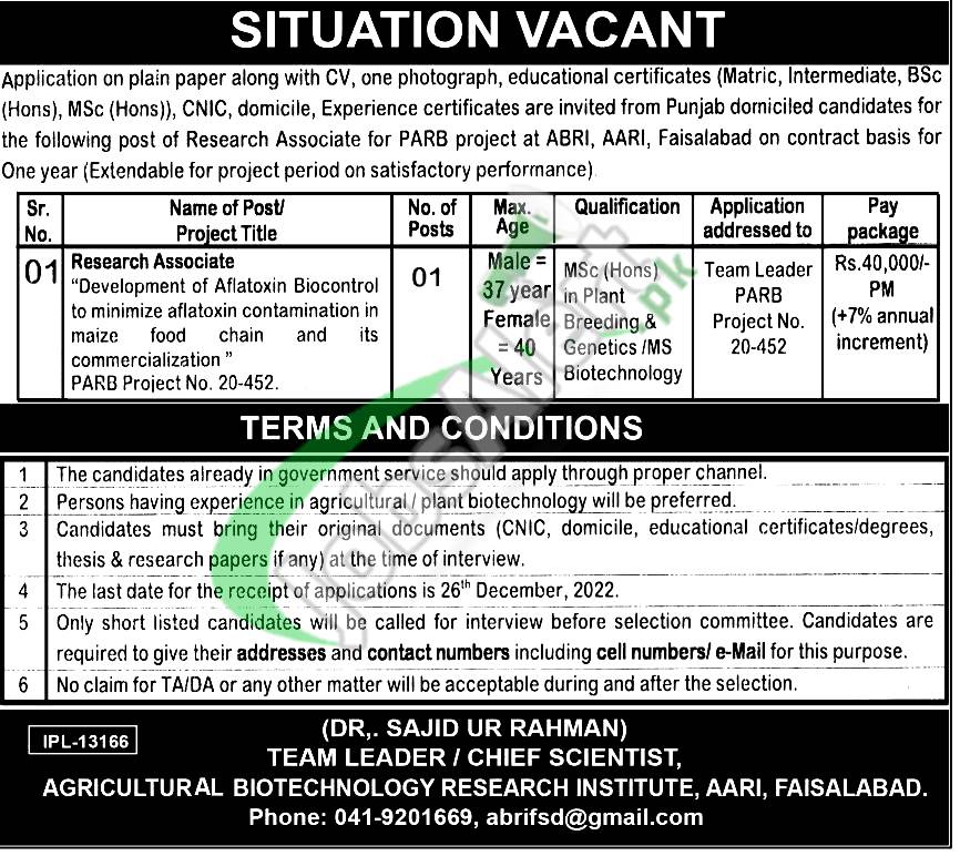 Punjab Agricultural Research Board Jobs