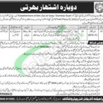 Wildlife Department KPK Jobs