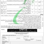 Pakistan Academy of Letters Jobs