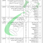 Pakistan Mint Jobs