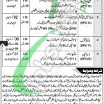 Session Court Haripur Jobs