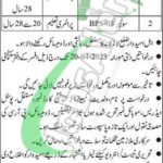 Session Court Larkana Jobs